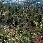 Haus Hinzberg Oberhof