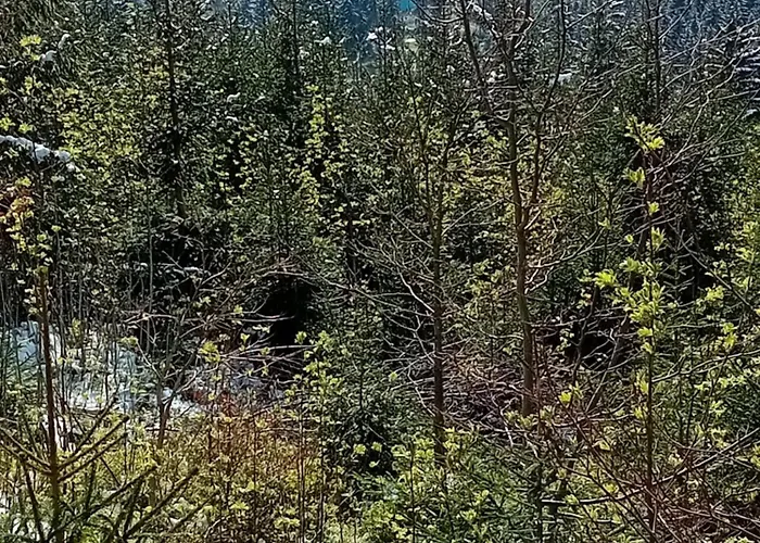 Haus Hinzberg Oberhof (Thuringia)